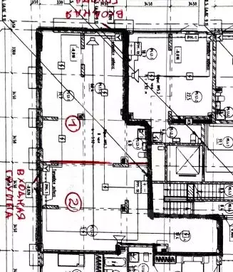Торговая площадь в Свердловская область, Екатеринбург ул. Академика ... - Фото 2