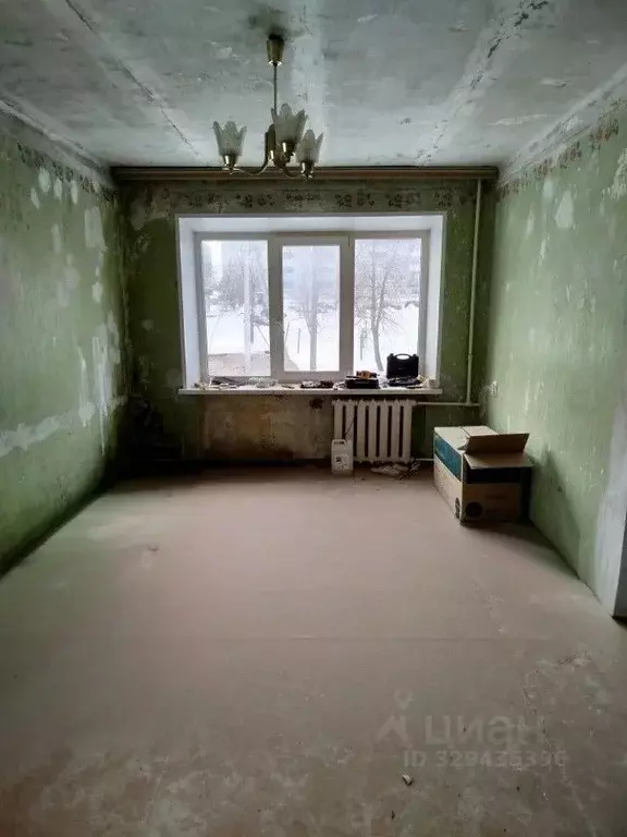 1-к кв. Орловская область, Мценский район, Отрадинское с/пос, с. ... - Фото 1