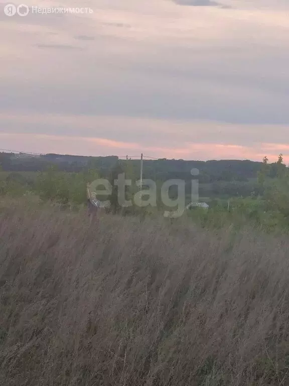 Участок в Чишминский район, Лесной сельсовет, село Алкино-2 (12 м) - Фото 1