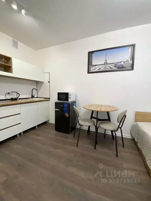 Студия Санкт-Петербург дор. Муринская, 31к3 (18.7 м) - Фото 1