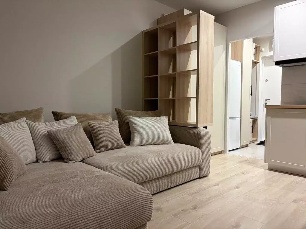 Студия Московская область, Люберцы ул. Летчика Ларюшина, 10 (20.0 м) - Фото 1