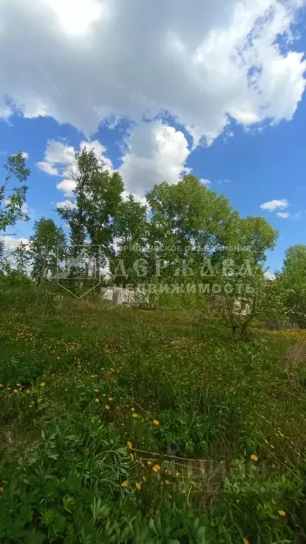 Участок в Кемеровская область, Кемерово Сухой Искитим СНТ, 57 (6.0 ... - Фото 0