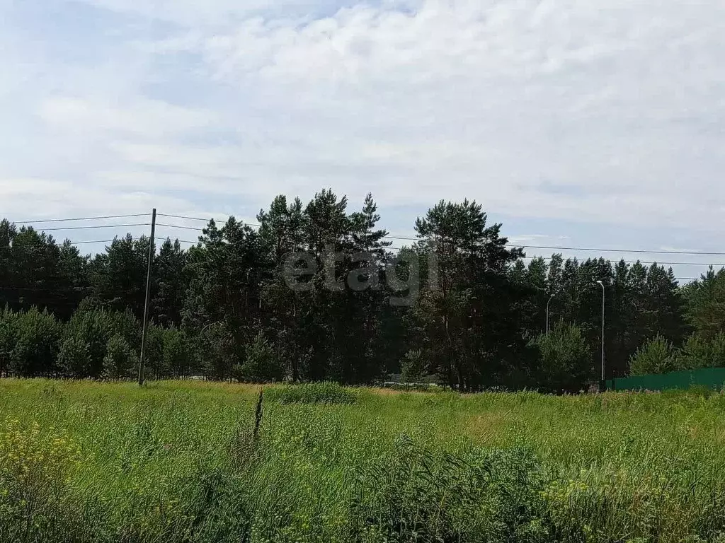 Участок в Тюменская область, Тюменский муниципальный округ, с. Борки  ... - Фото 1