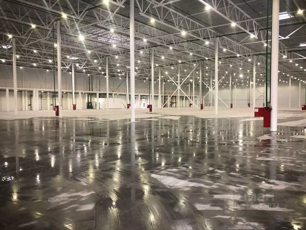 Склад в Московская область, Ногинск Богородский городской округ, ул. ... - Фото 2