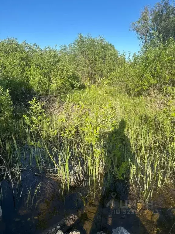 Участок в Башкортостан, Уфа Елкибаево-Федоровка-Самохваловка жилрайон, ... - Фото 2