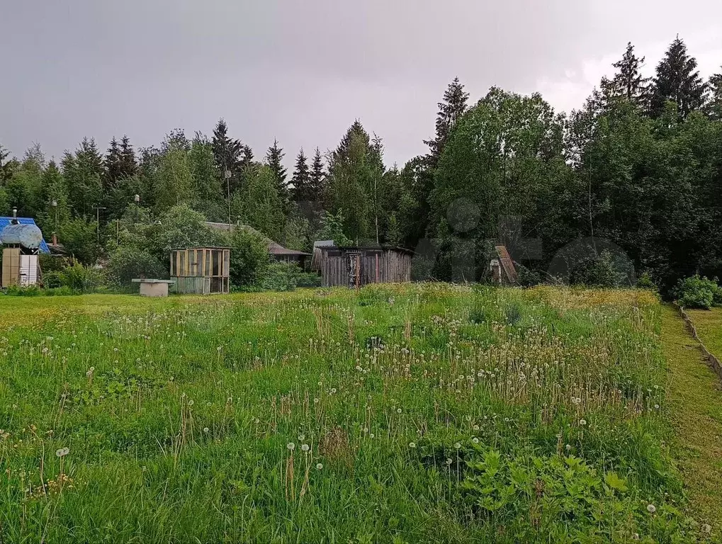 Участок 9 сот. (СНТ, ДНП) - Фото 1