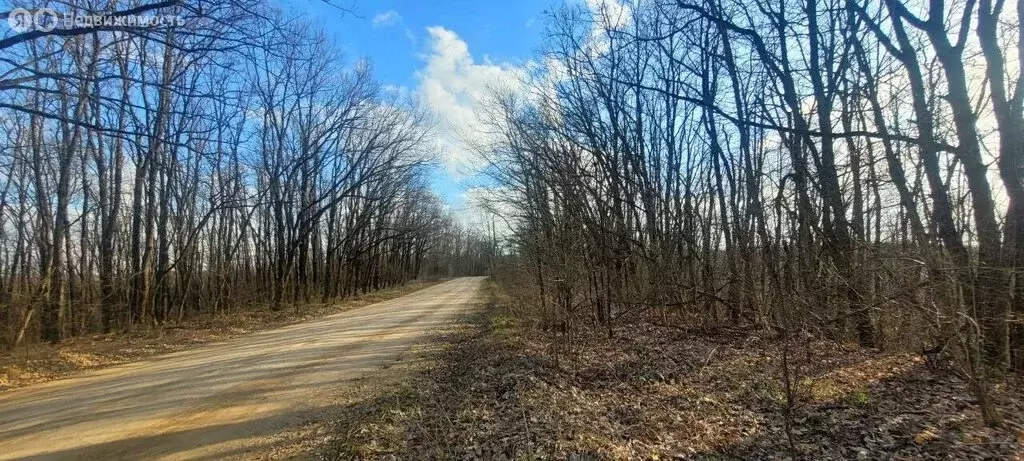 Участок в Северский район, Ильское городское поселение, посёлок ... - Фото 1