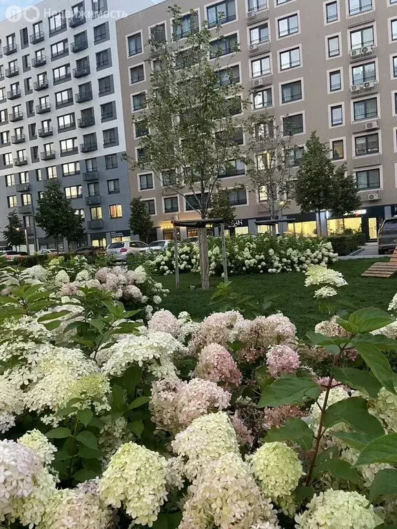 2-комнатная квартира: Тюмень, улица Газовиков, 34 (57.7 м) - Фото 2