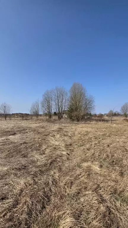 Участок в Ленинградская область, Волосовский район, Калитинское с/пос, ... - Фото 2