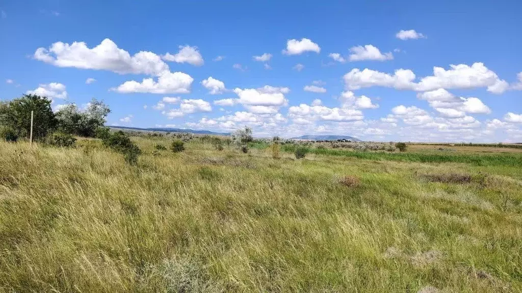 Участок в Крым, Феодосия муниципальный округ, с. Насыпное ул. ... - Фото 1