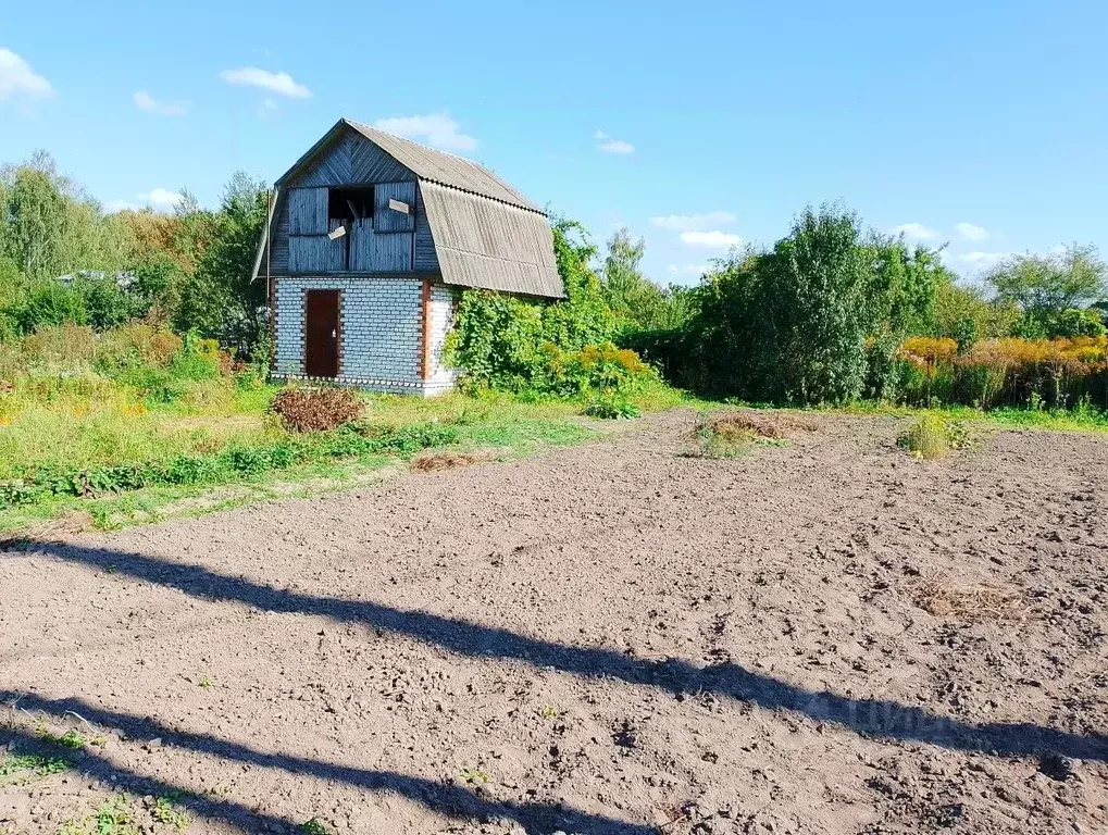 Дом в Брянская область, Брянский район, Снежское с/пос, с. Толмачево, ... - Фото 0