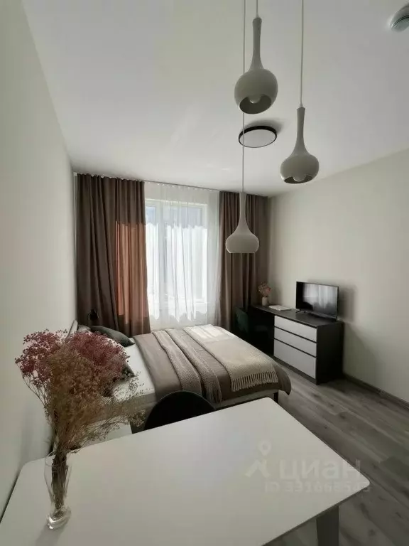 Студия Санкт-Петербург Витебский просп., 99к1 (24.5 м) - Фото 2