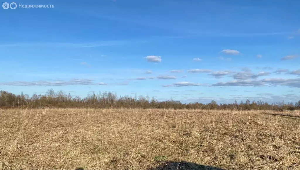 Участок в деревня Ваулино, Киршинская улица (350 м) - Фото 1