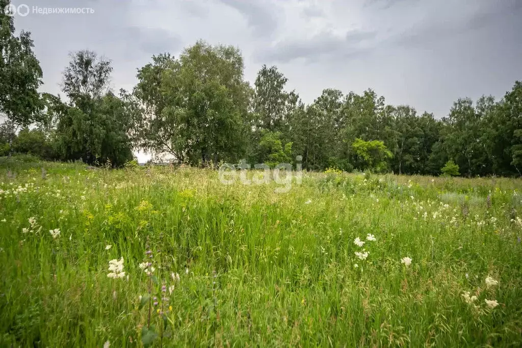 Участок в Искитимский район, деревня Бурмистрово (21 м) - Фото 1