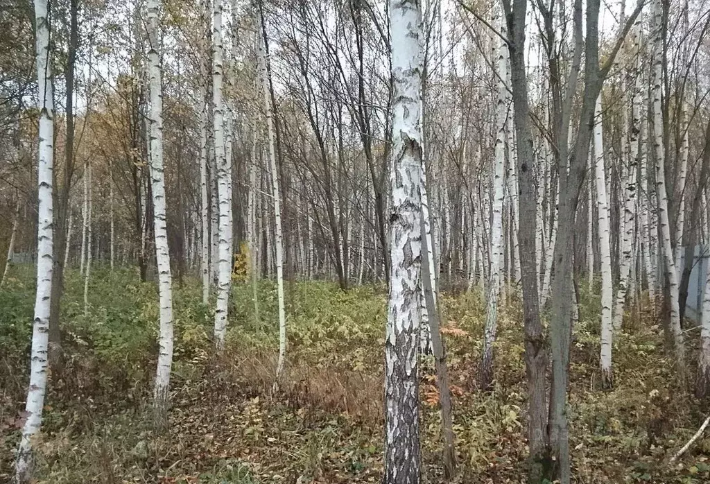 Участок в Московская область, Одинцовский городской округ, с. ... - Фото 2