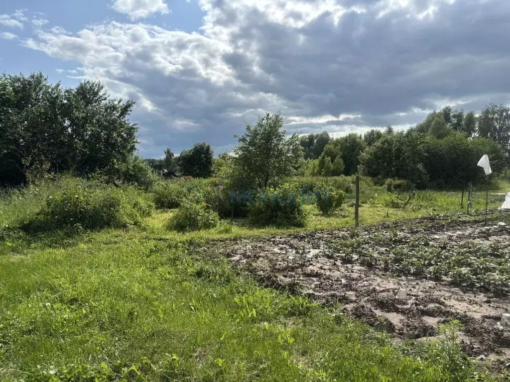 Участок в Нижегородская область, Богородский муниципальный округ, ... - Фото 0
