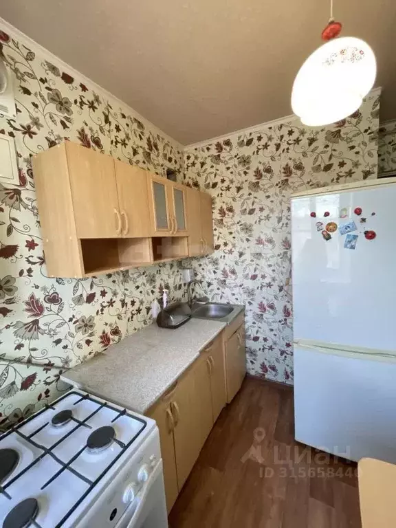 1-к кв. Архангельская область, Котлас ул. Кузнецова, 4А (30.1 м) - Фото 0