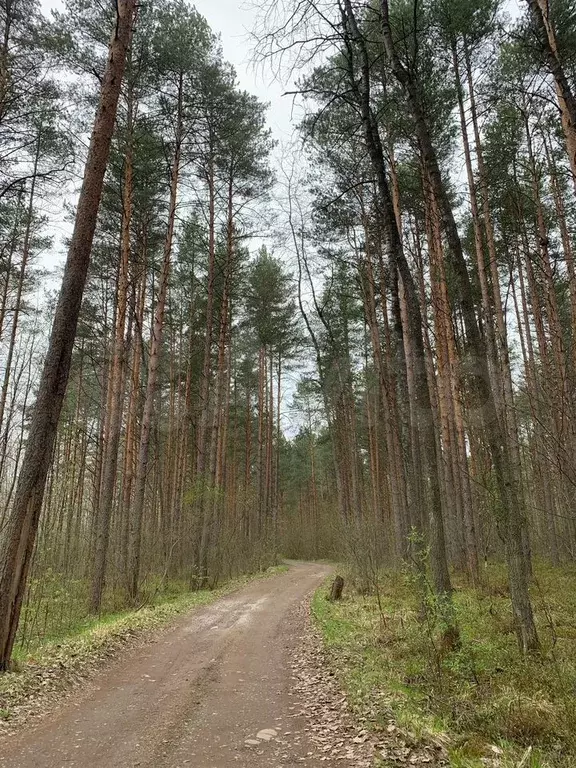Дача 17 м на участке 6 сот. - Фото 0