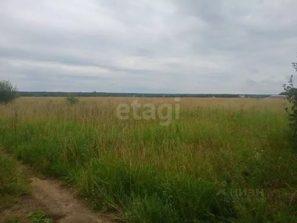 Участок в Ярославская область, Ярославский муниципальный округ, д. ... - Фото 1