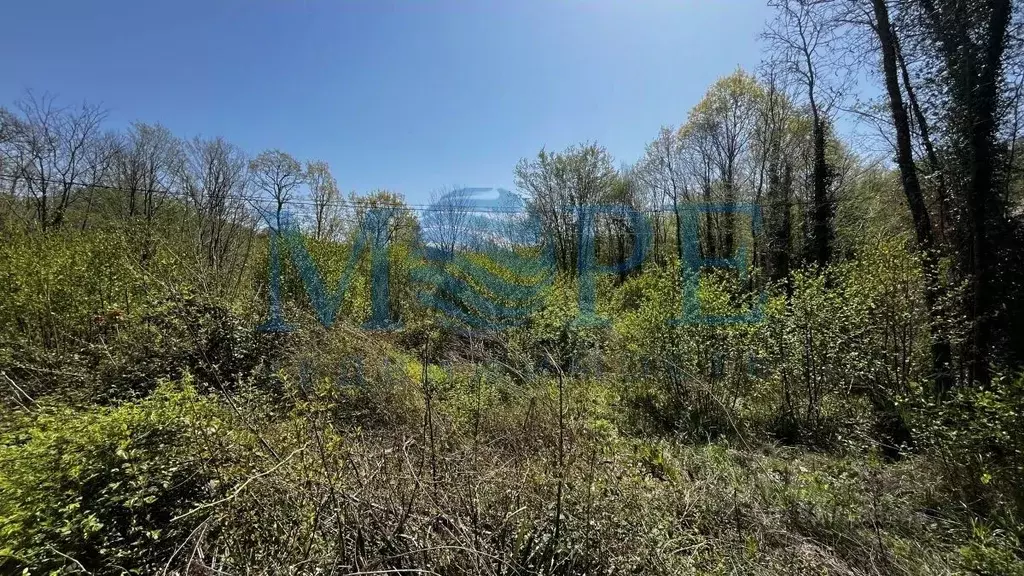 Участок в Краснодарский край, Сочи городской округ, с. Волковка  (6.0 ... - Фото 2