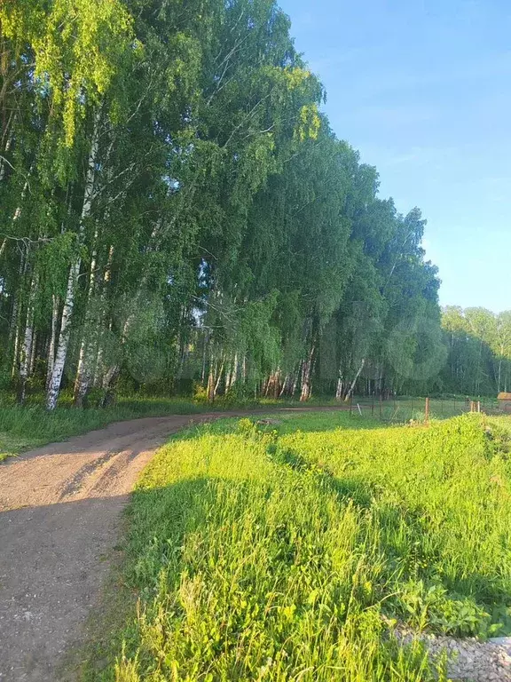 Дача 36 м на участке 15 сот. - Фото 0