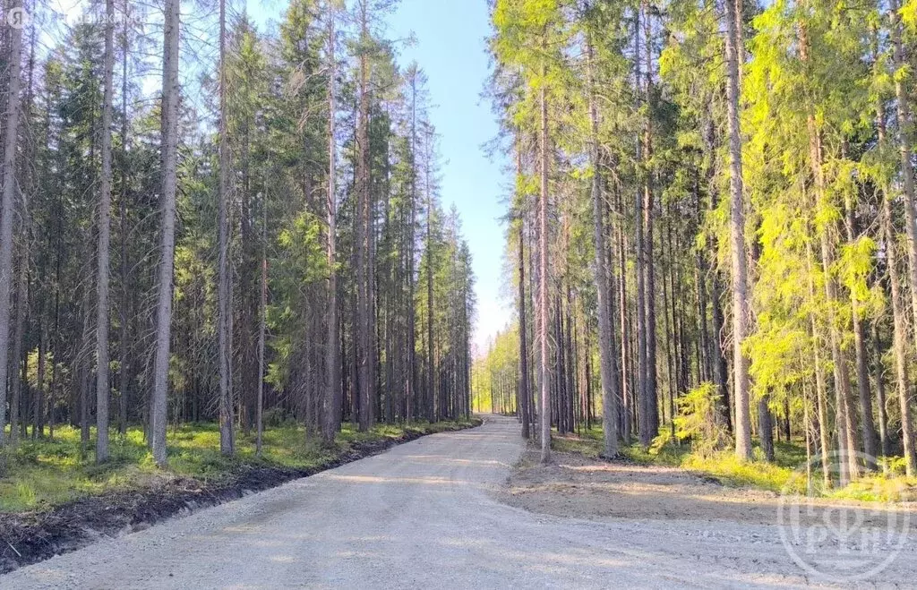 Участок в городской посёлок Рощино, клубный посёлок ЦК-2 (12 м) - Фото 0