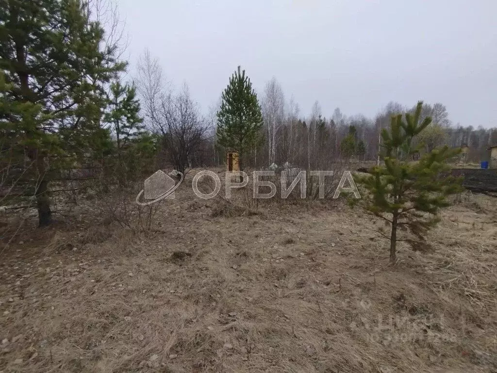 Участок в Тюменская область, Тюменский муниципальный округ, Ежевика дп ... - Фото 2