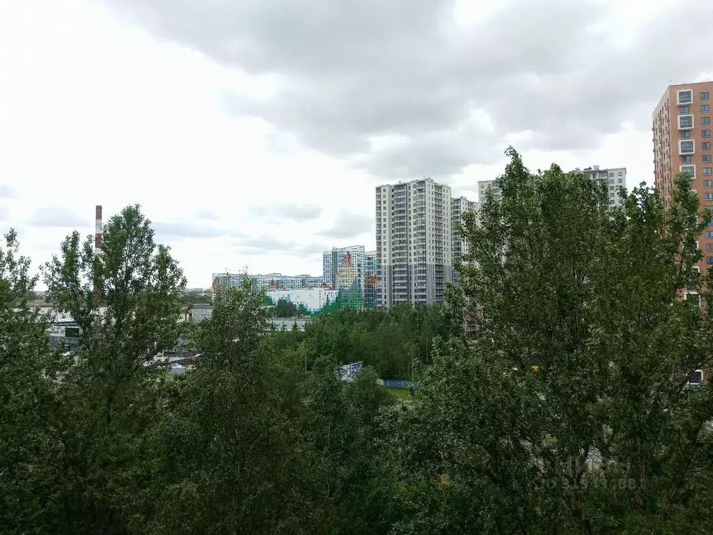 1-к кв. Санкт-Петербург Дальневосточный просп., 38 (36.6 м) - Фото 1