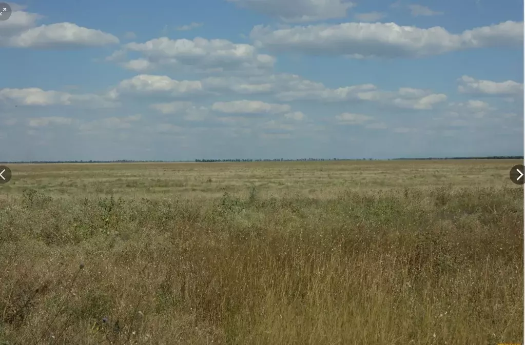 Участок в Крым, Черноморский район, с. Далекое ул. Советская (1750.0 ... - Фото 0