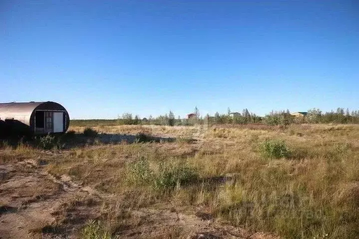 Участок в Ямало-Ненецкий АО, Новый Уренгой Уралец мкр, МК-144 кв-л,  ... - Фото 1