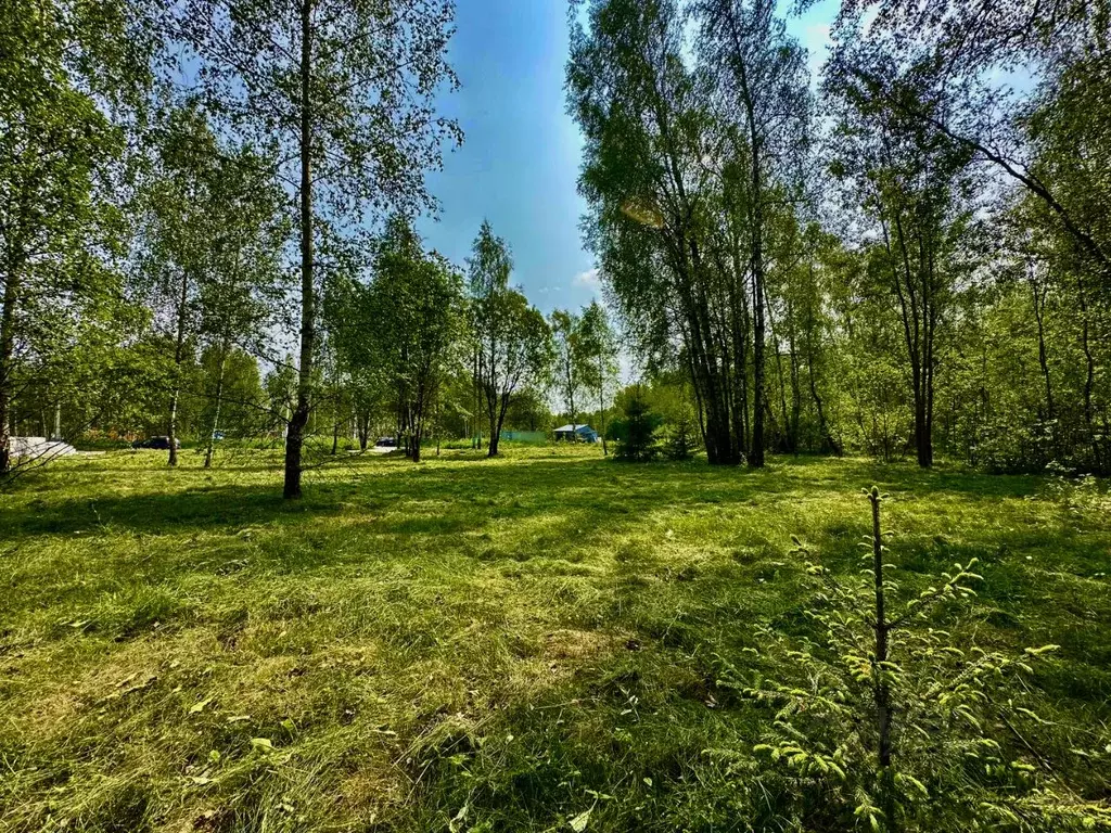 Участок в Московская область, Одинцовский городской округ, д. ... - Фото 1