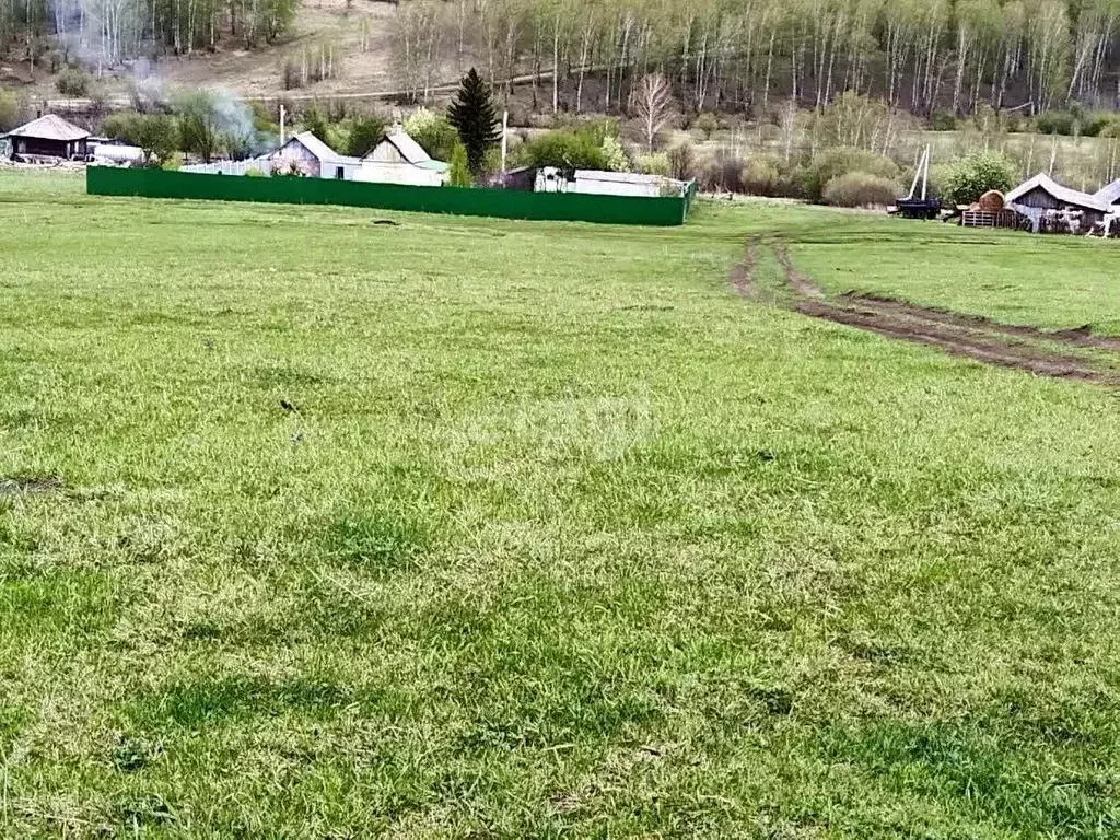Участок в Кемеровская область, Кемеровский муниципальный округ, пос. ... - Фото 1