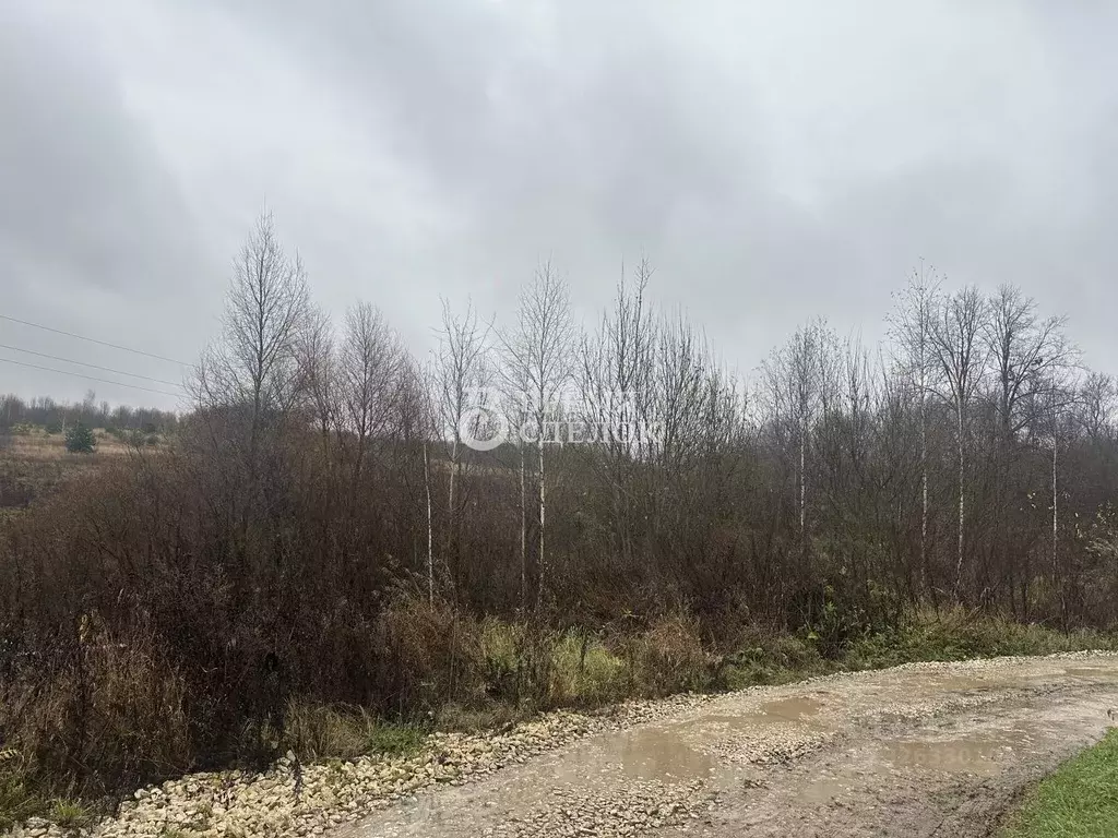Участок в Владимирская область, Суздальский район, Новоалександровское ... - Фото 2