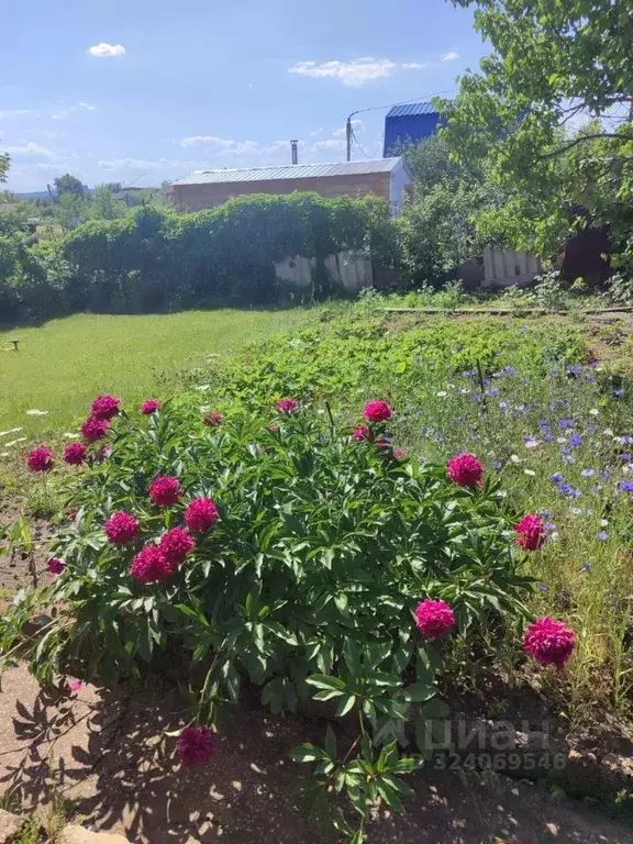 Дом в Самарская область, Тольятти Вишенка-2 СДТ,  (50 м) - Фото 2