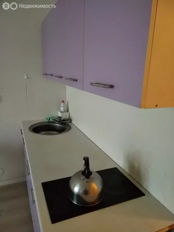 Квартира-студия: Свердловская область, муниципальное образование ... - Фото 2