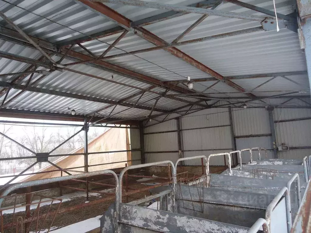 Производственное помещение в Белгородская область, Белгородский район, ... - Фото 2