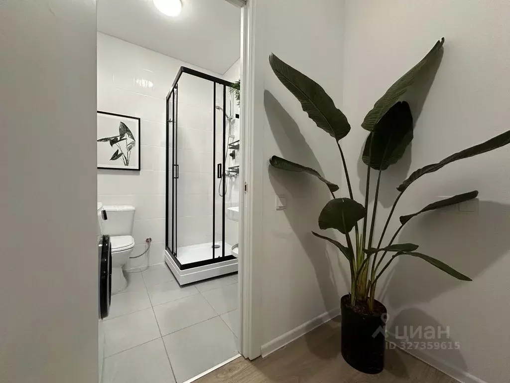 Студия Московская область, Мытищи пер. 1-й Стрелковый, 5 (25.0 м) - Фото 2