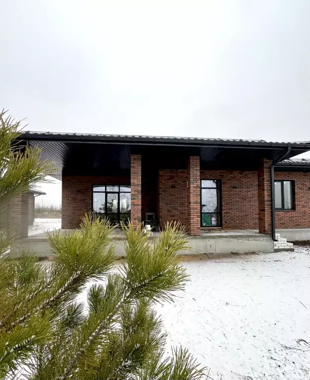 Дом в Воронежская область, Рамонский район, Новоживотинновское с/пос, ... - Фото 1