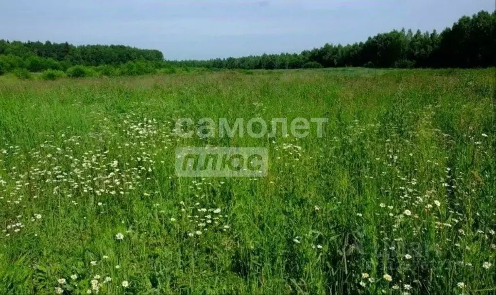 Участок в Белгородская область, Старооскольский городской округ, с. ... - Фото 0