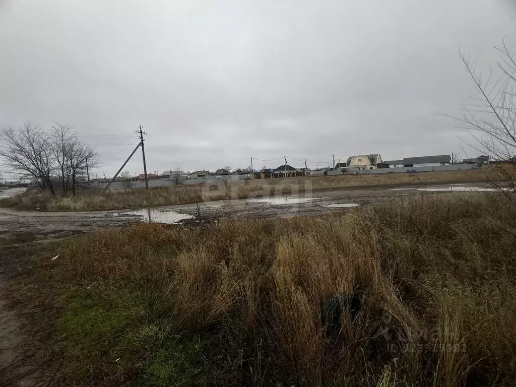 Участок в Саратовская область, Энгельсский район, Красноярское ... - Фото 1