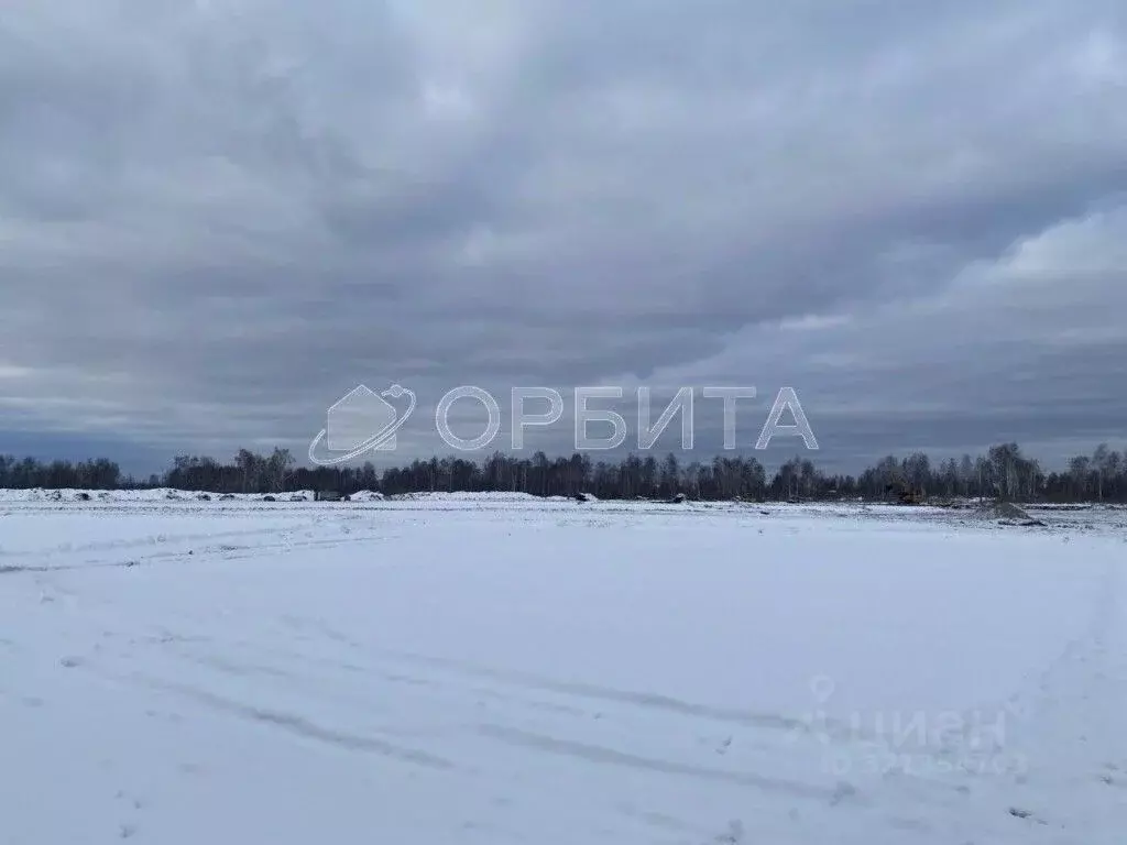 Участок в Тюменская область, Тюмень Велижанский тракт, 7-й км (40.0 ... - Фото 0