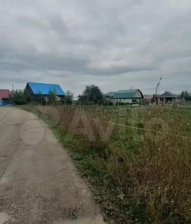 Участок в Алтайский край, Алтайский район, Айский сельсовет, с. Ая ул. ... - Фото 0