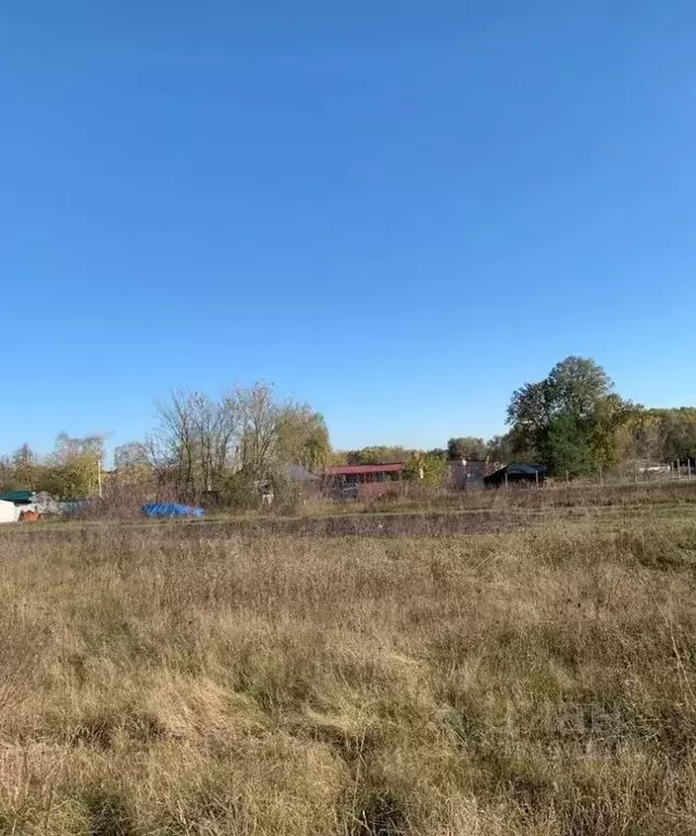 Участок в Московская область, Коломна городской округ, с. Сосновка  ... - Фото 2