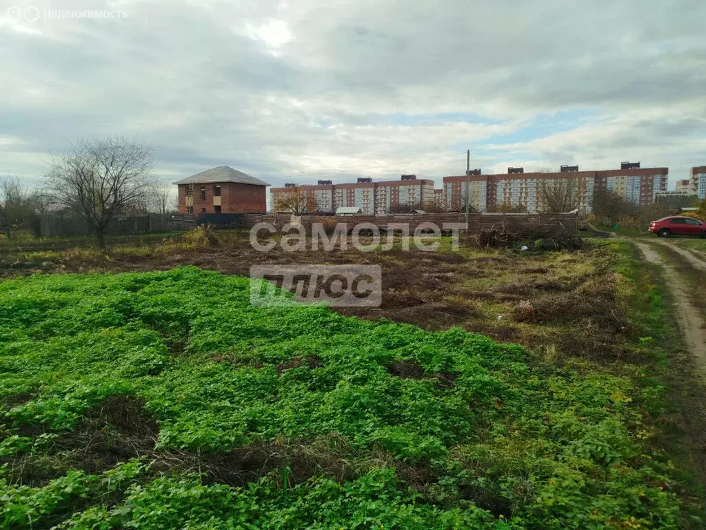 Участок в Путёвка, территория садоводческого общества Снежка (4 м) - Фото 1