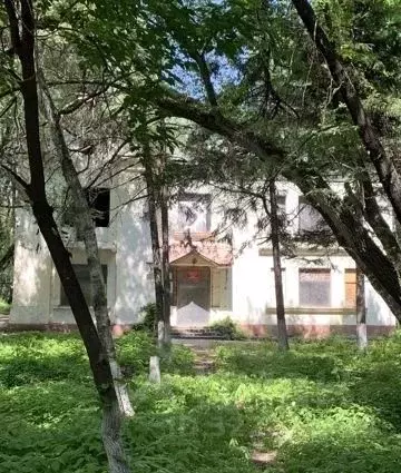 Торговая площадь в Хабаровский край, Хабаровск ул. Шеронова, 104 (500 ... - Фото 0