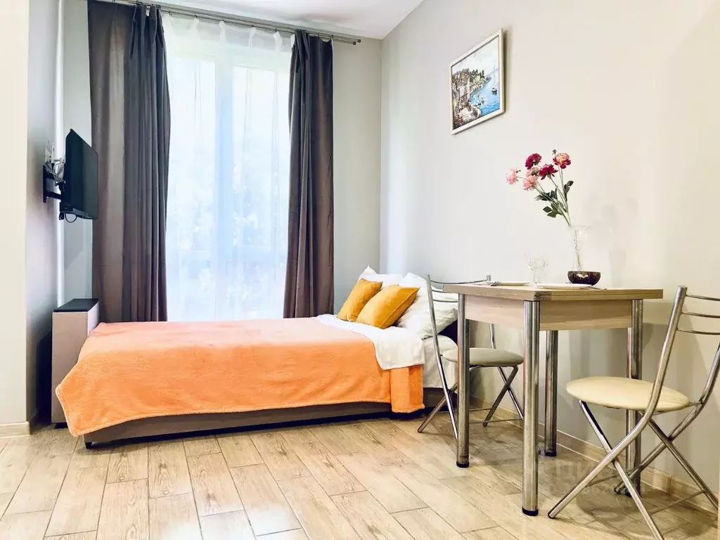 Студия Краснодарский край, Сочи ул. Ленина, 300А/1 (18.0 м) - Фото 1