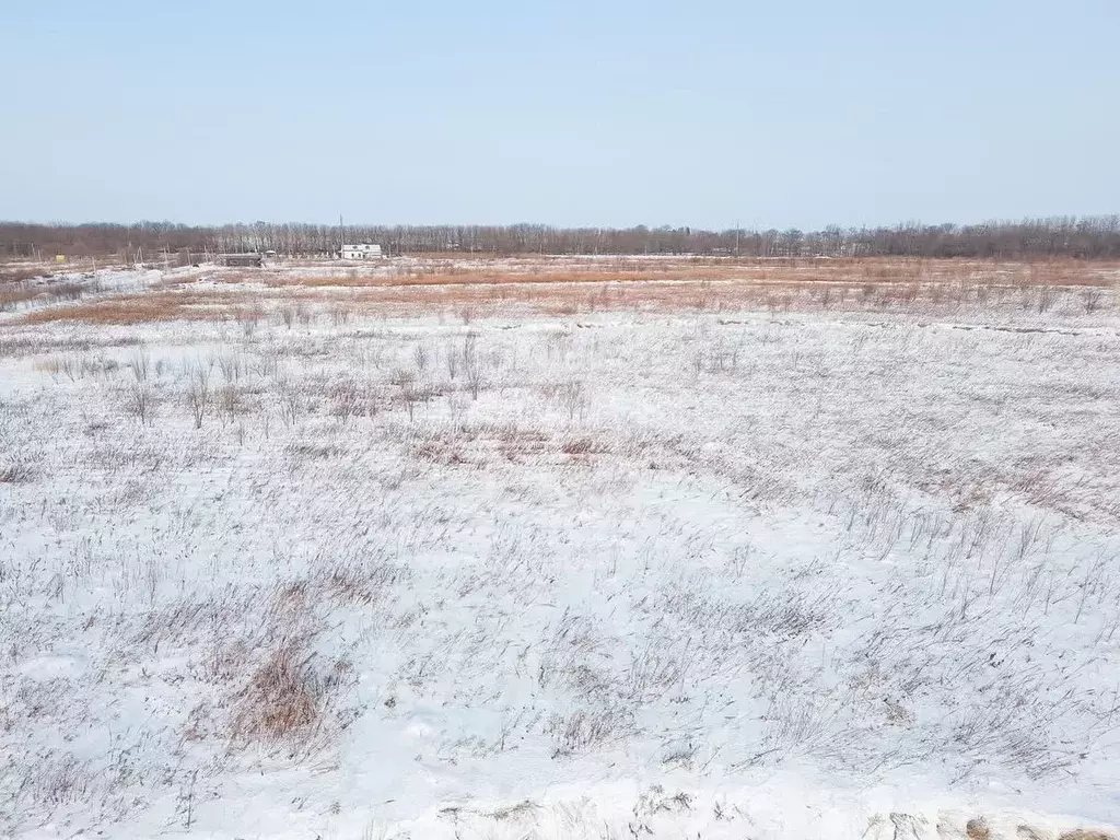 Участок в Хабаровский край, Хабаровский район, с. Рощино  (11.9 сот.) - Фото 0