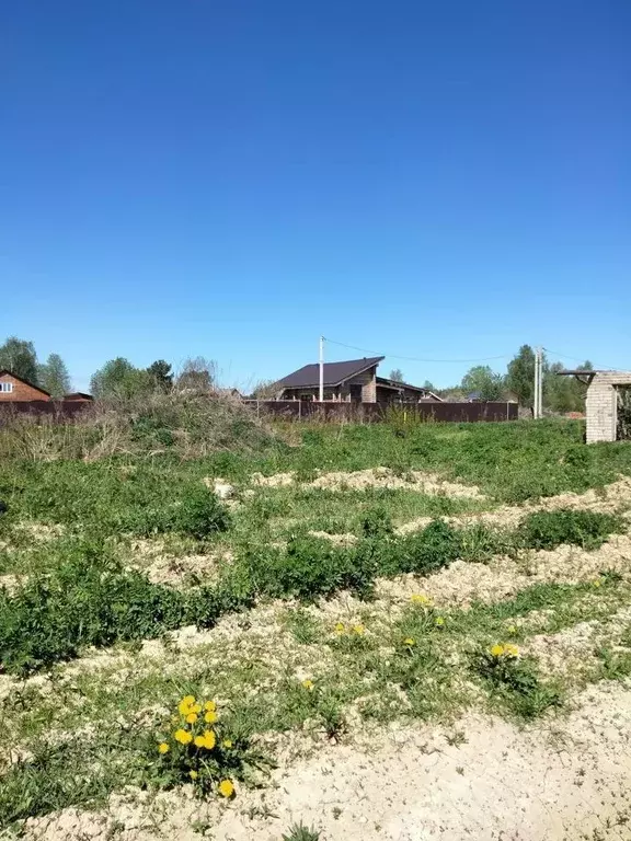 Участок в Ивановская область, Ивановский район, Богородское с/пос, д. ... - Фото 1