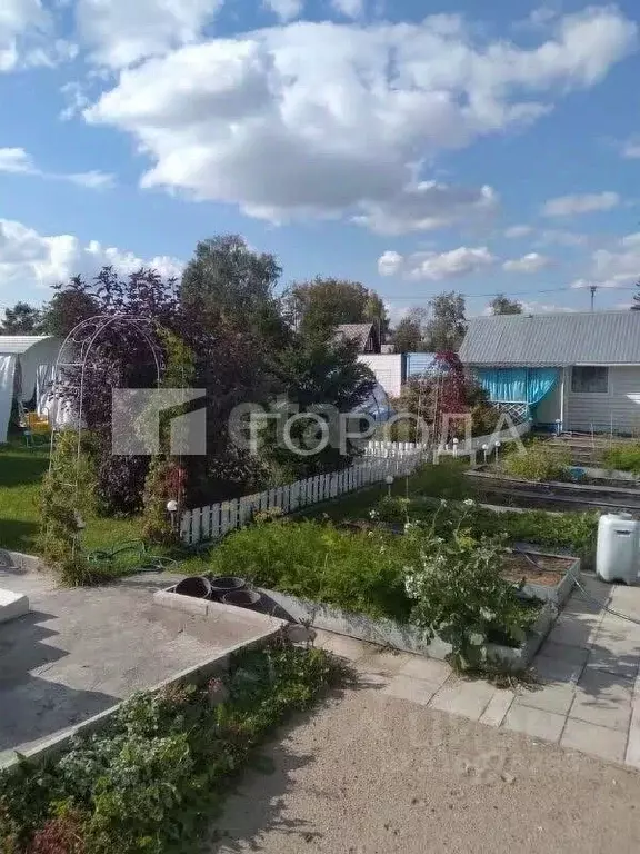 Дом в Новосибирская область, Новосибирск Березовая Роща СТ,  (28 м) - Фото 1