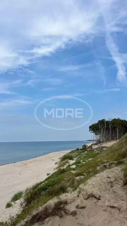 Участок в Калининградская область, Зеленоградский муниципальный округ, ... - Фото 1